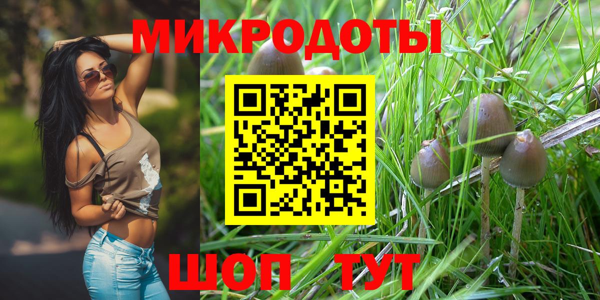 Кольчугино  Псилоцибиновые грибы Magic Shrooms  Вход с VPN  Галлюциногенные грибы мухоморы 