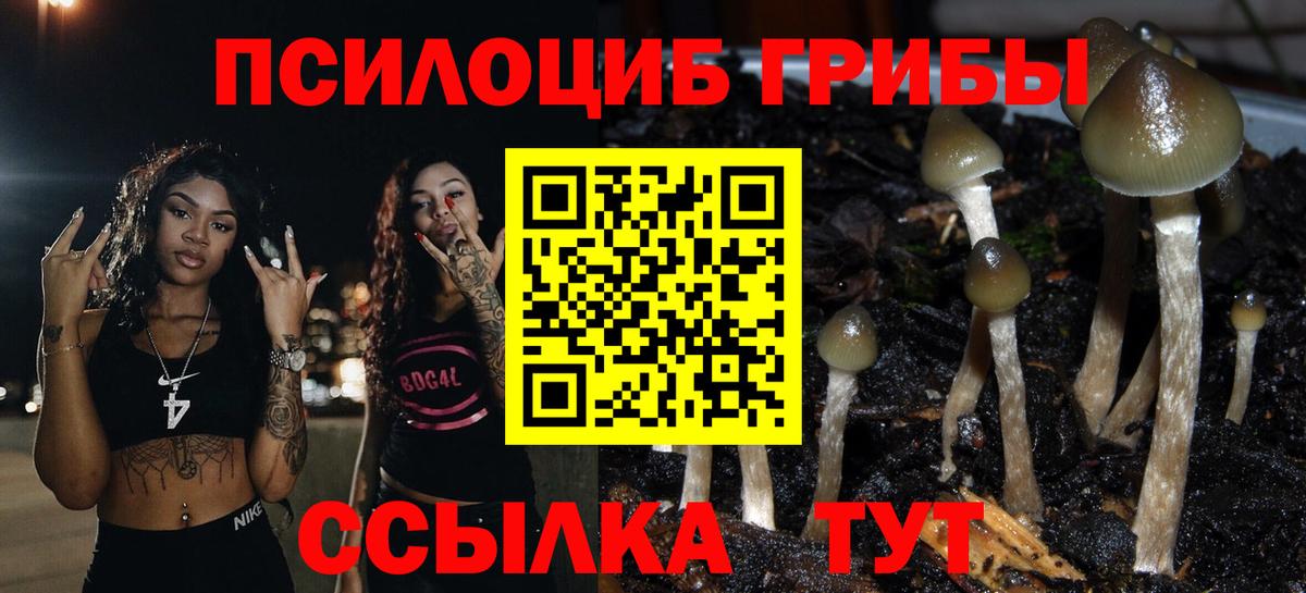 Псилоцибиновые грибы MAGIC MUSHROOMS Кольчугино